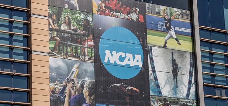 New Jersey Police Charge 14 in Alleged Mafia-Backed Gambling Ring Involving Former NCAA Athletes