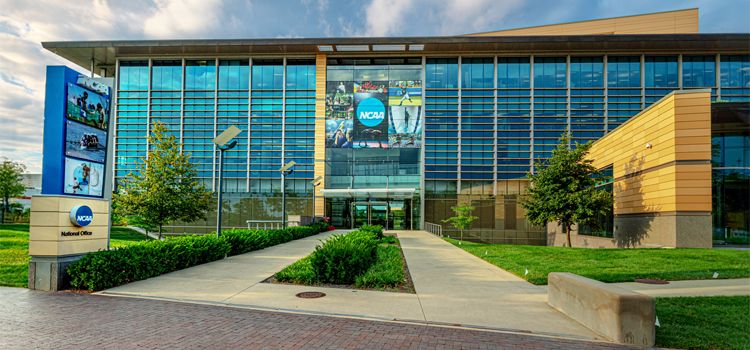 NCAA Approves Proposal for Professional Sports Betting