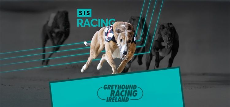 SIS Renews Irish Greyhound Racing Deal with GRI Through 2028
