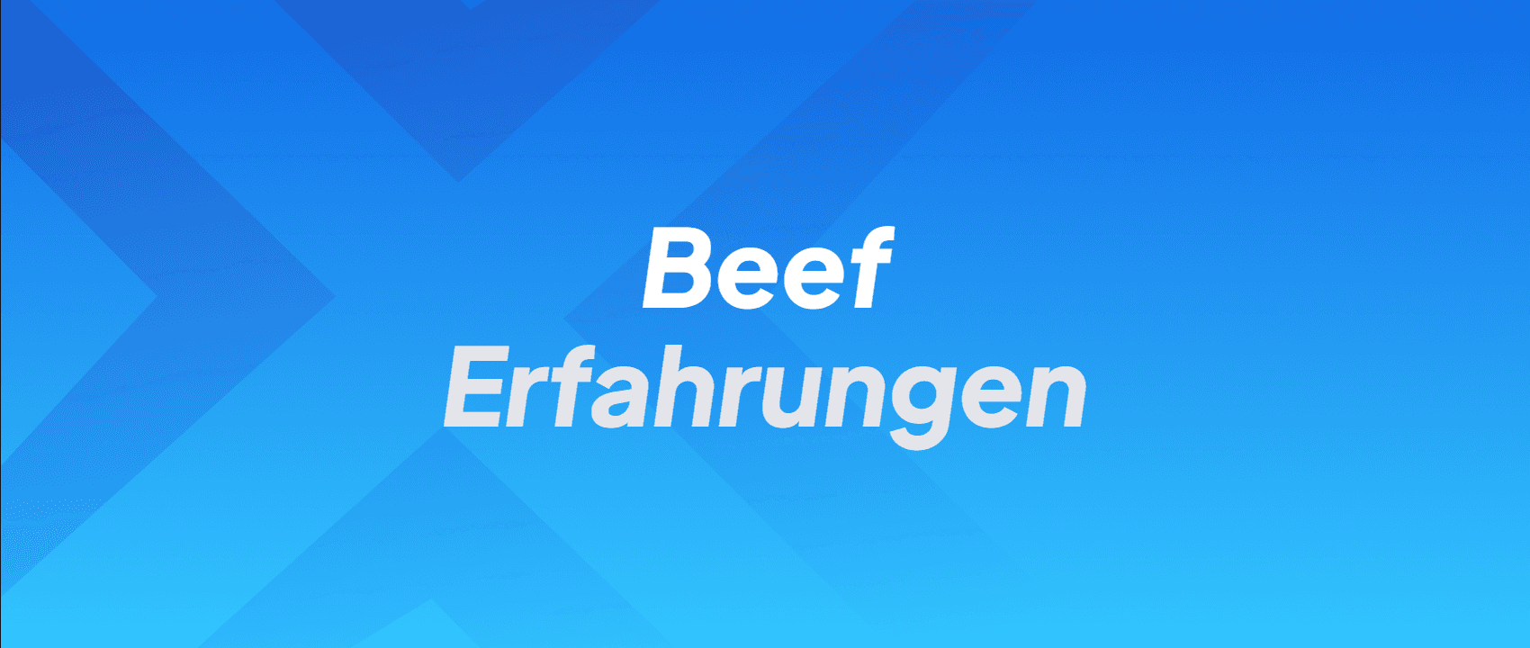 Beef Erfahrungen