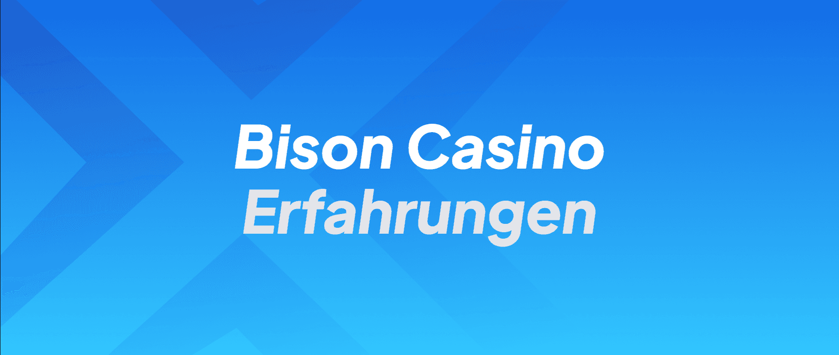 Bison Casino Erfahrungen